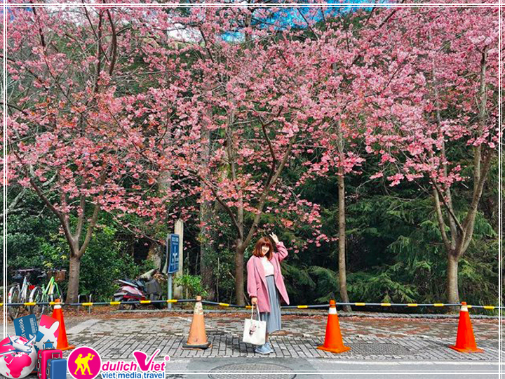 Tour du lịch Đài Loan 5 ngày 4 đêm ngắm hoa Anh Đào giá tốt